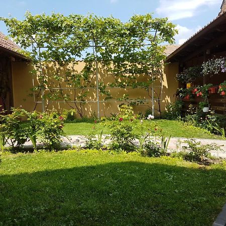 Casa Ovesia Villa Sacele Luaran gambar