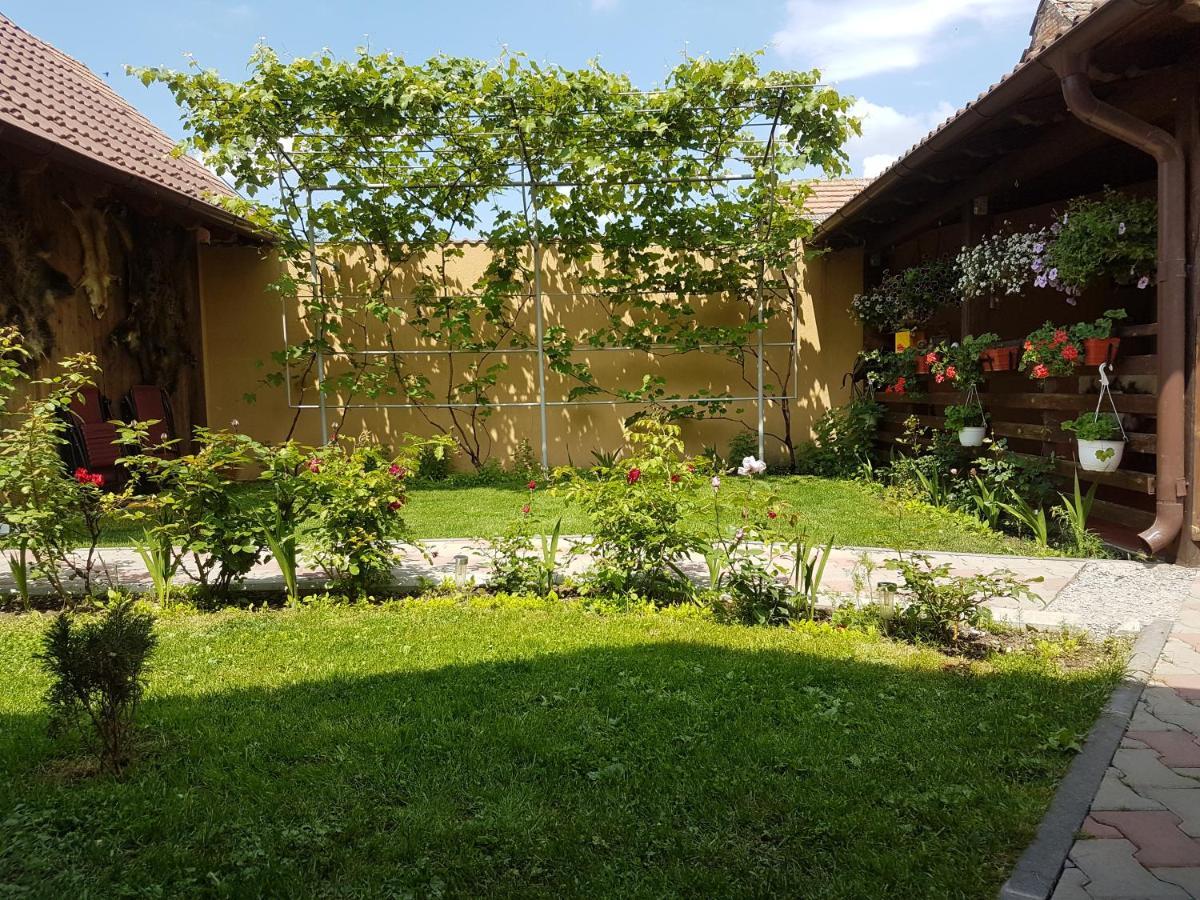 Casa Ovesia Villa Sacele Luaran gambar
